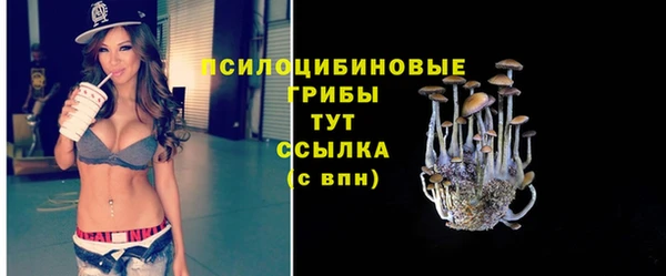тгк Семикаракорск