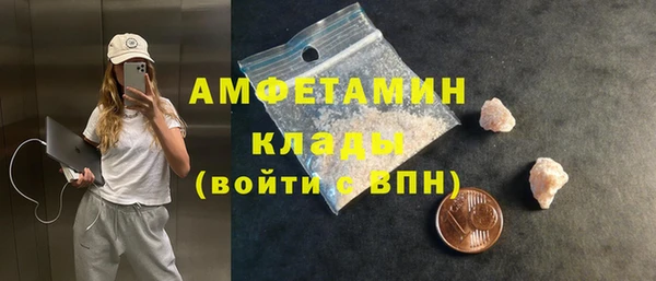 дмт Вяземский